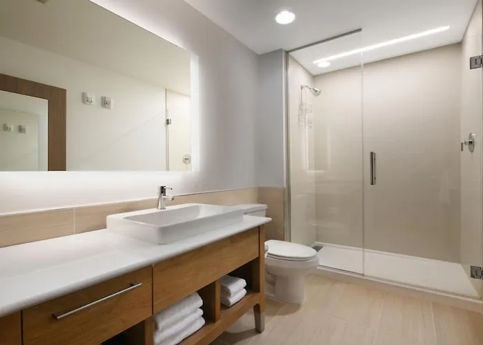 Hotel Element By Marriott Austin 3*